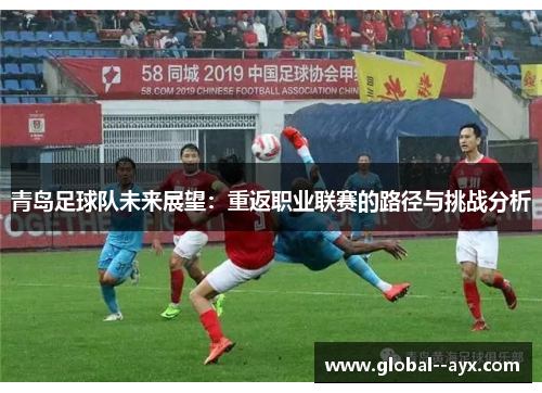 青岛足球队未来展望：重返职业联赛的路径与挑战分析