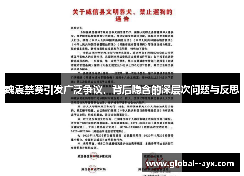 魏震禁赛引发广泛争议，背后隐含的深层次问题与反思